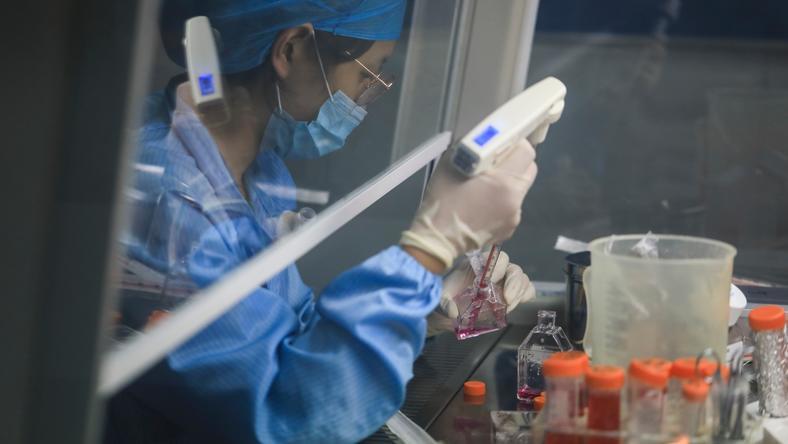 干细胞研究再迎突破:有望回答生命早期发育之谜